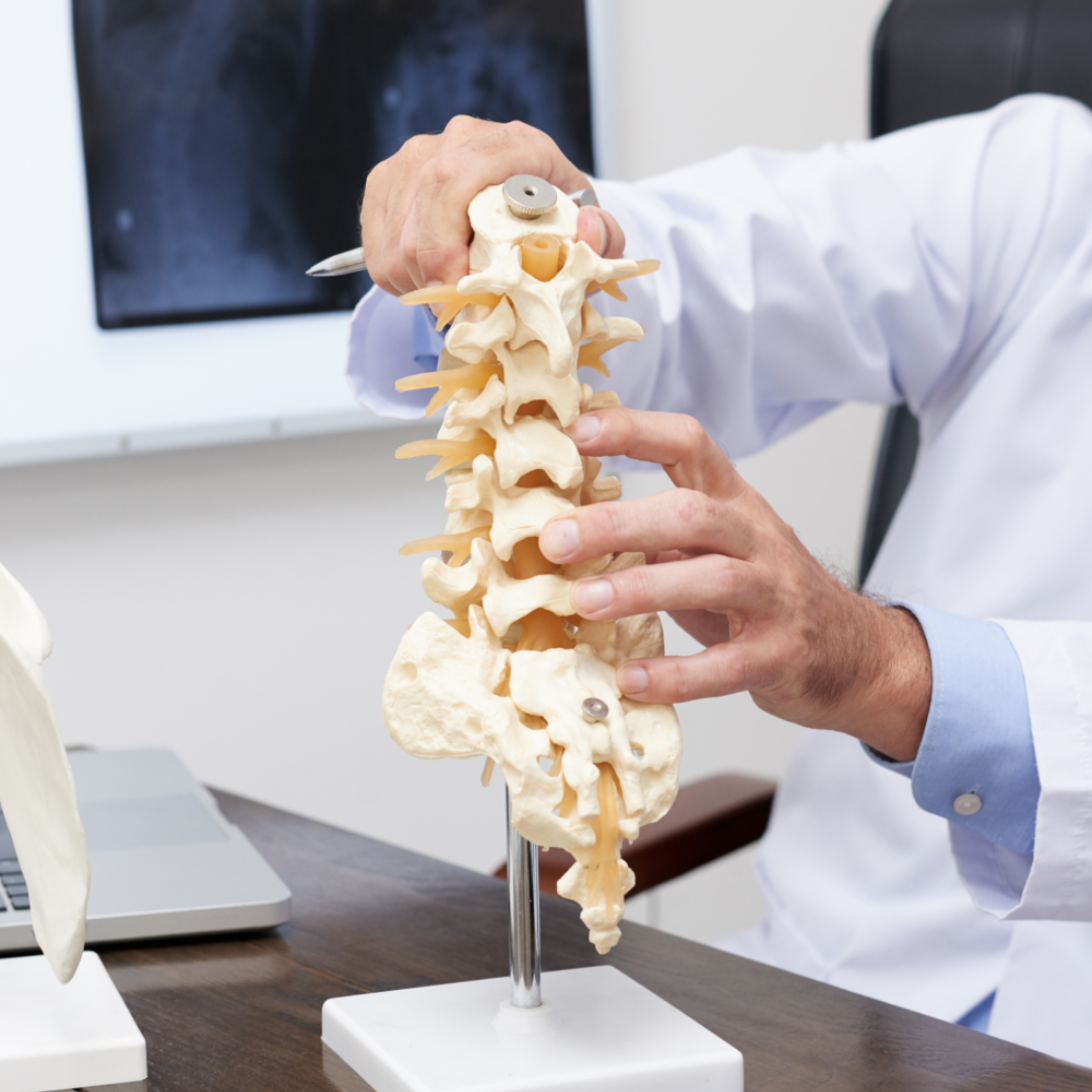 Spine model standing on the desk of the unrecognizable doctor Doctor helping old lady with back pain